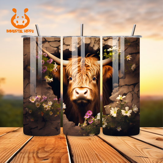 HIGHLAND COW OUT OF WALL
